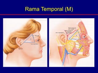 Rama Temporal (M)
 