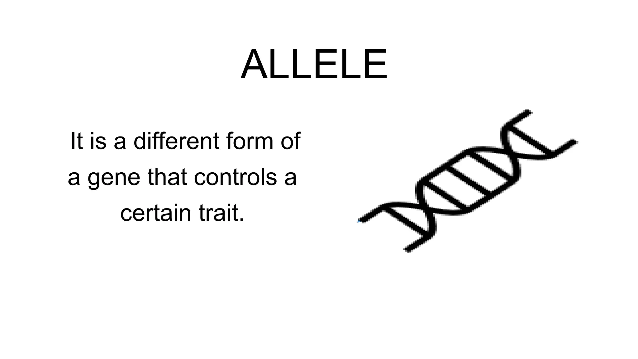ALLELE
It is a different form of
a gene that controls a
certain trait.
 