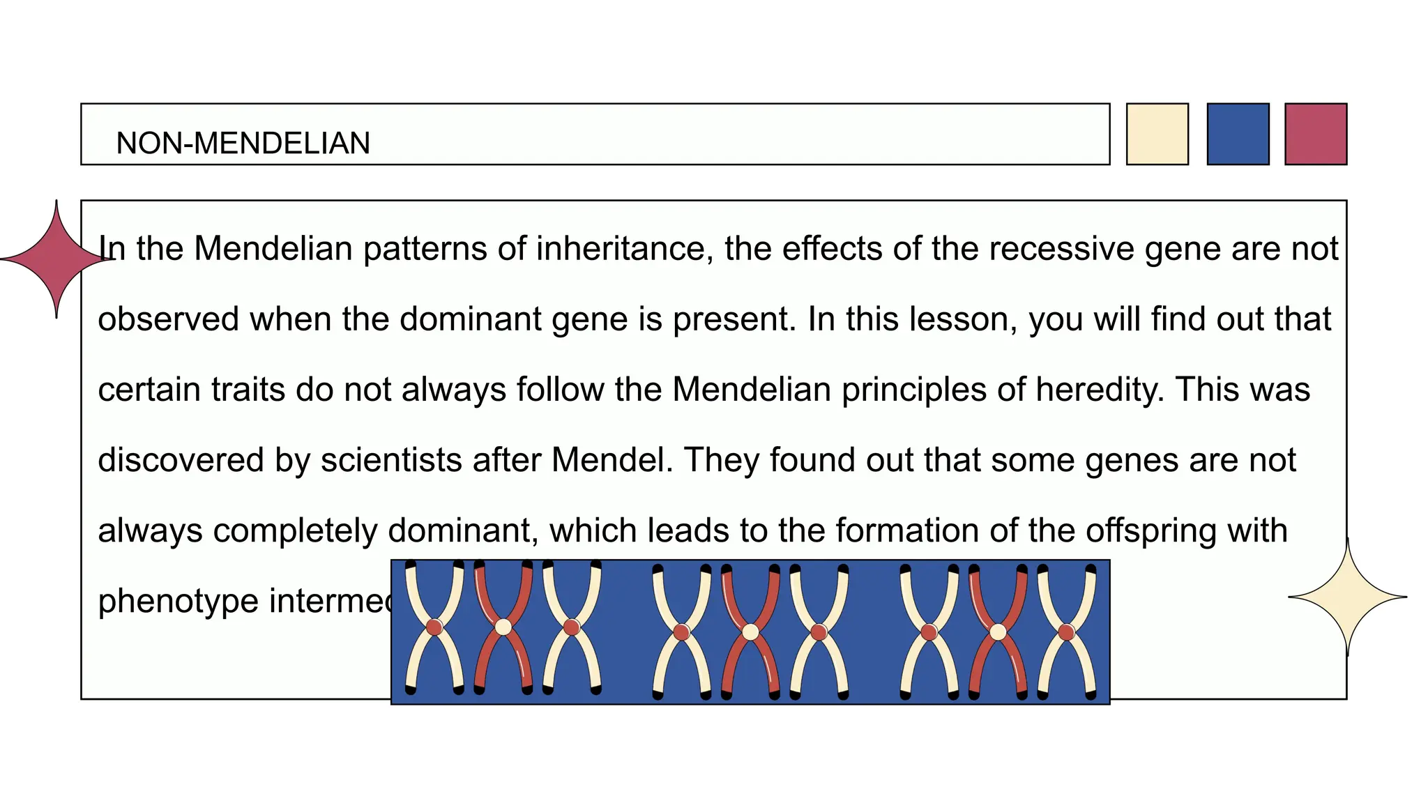 In the Mendelian patterns of inheritance, the effects of the recessive gene are not
observed when the dominant gene is present. In this lesson, you will find out that
certain traits do not always follow the Mendelian principles of heredity. This was
discovered by scientists after Mendel. They found out that some genes are not
always completely dominant, which leads to the formation of the offspring with
phenotype intermediate between parental phenotypes.
NON-MENDELIAN
 