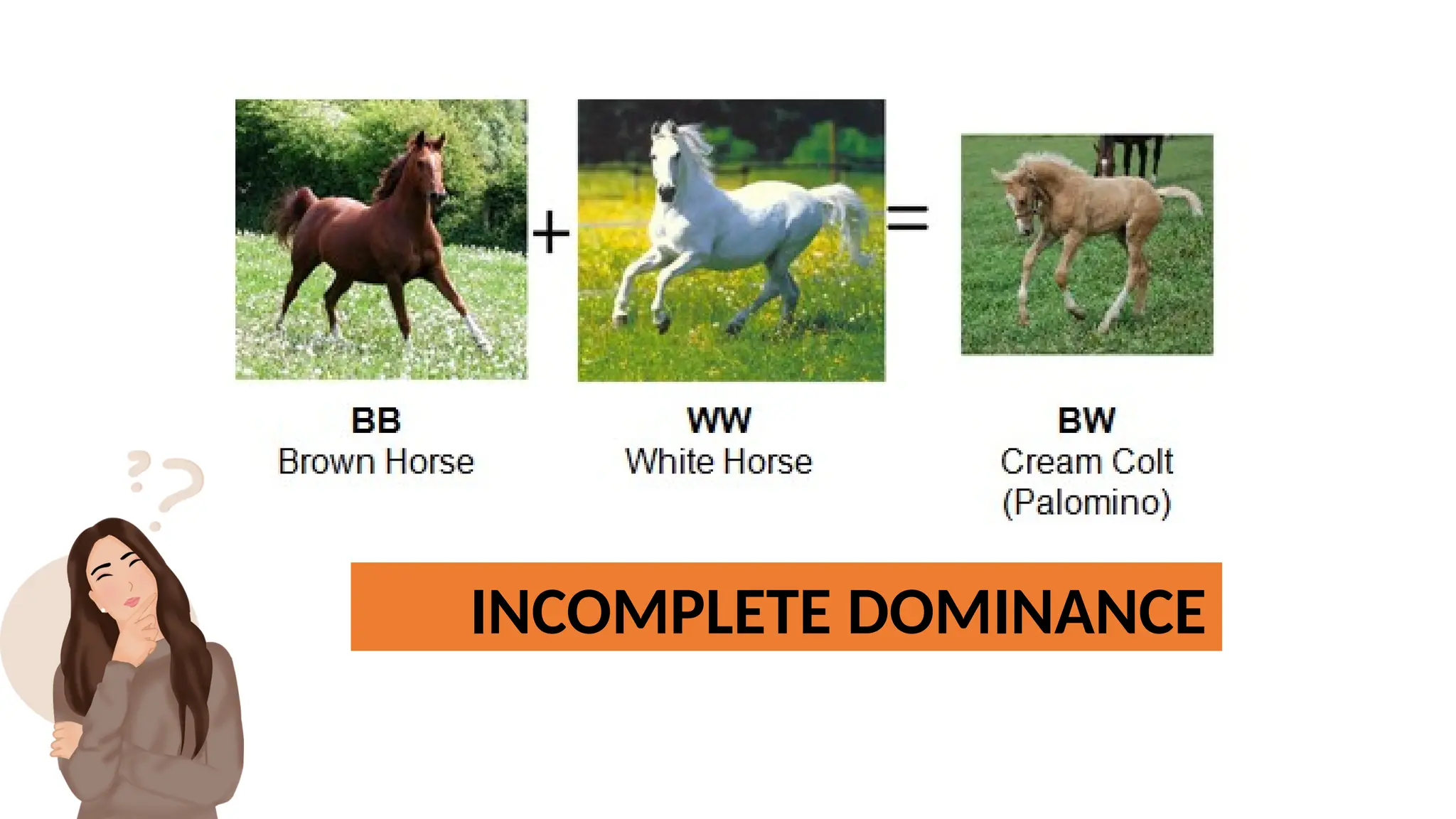 INCOMPLETE DOMINANCE
 