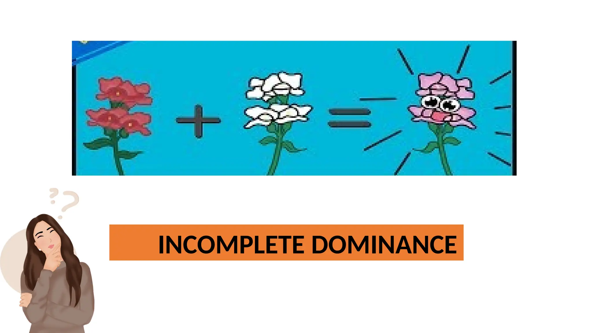 INCOMPLETE DOMINANCE
 