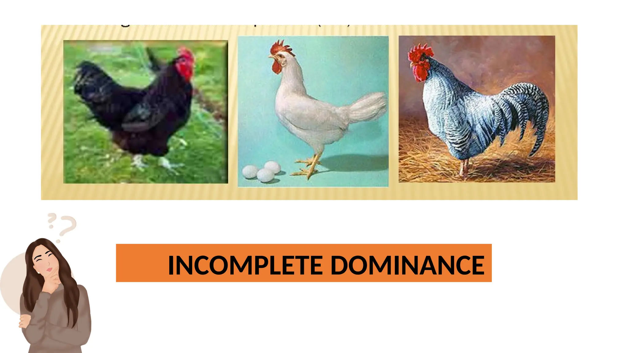 INCOMPLETE DOMINANCE
 