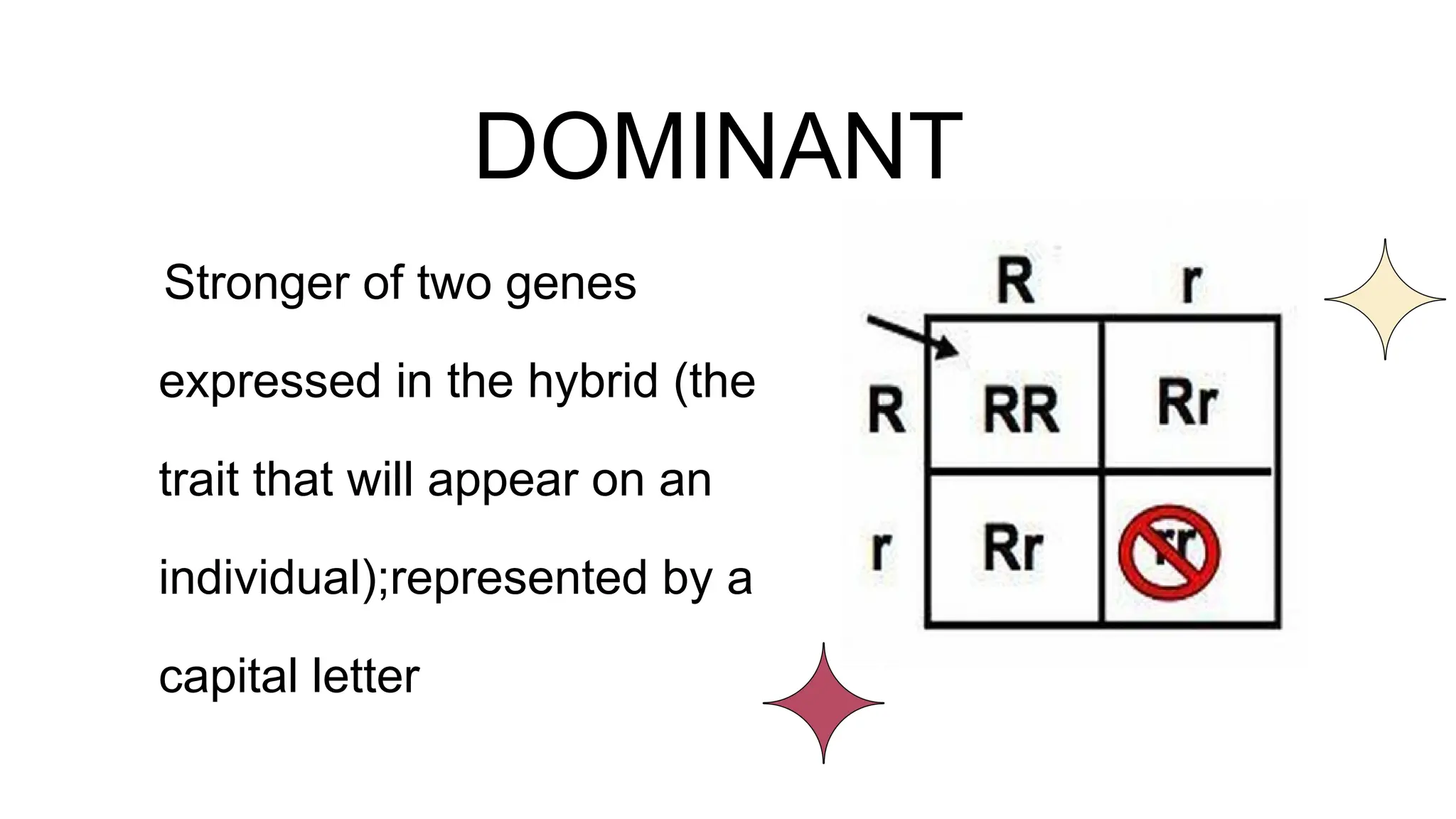DOMINANT
Stronger of two genes
expressed in the hybrid (the
trait that will appear on an
individual);represented by a
capital letter
 