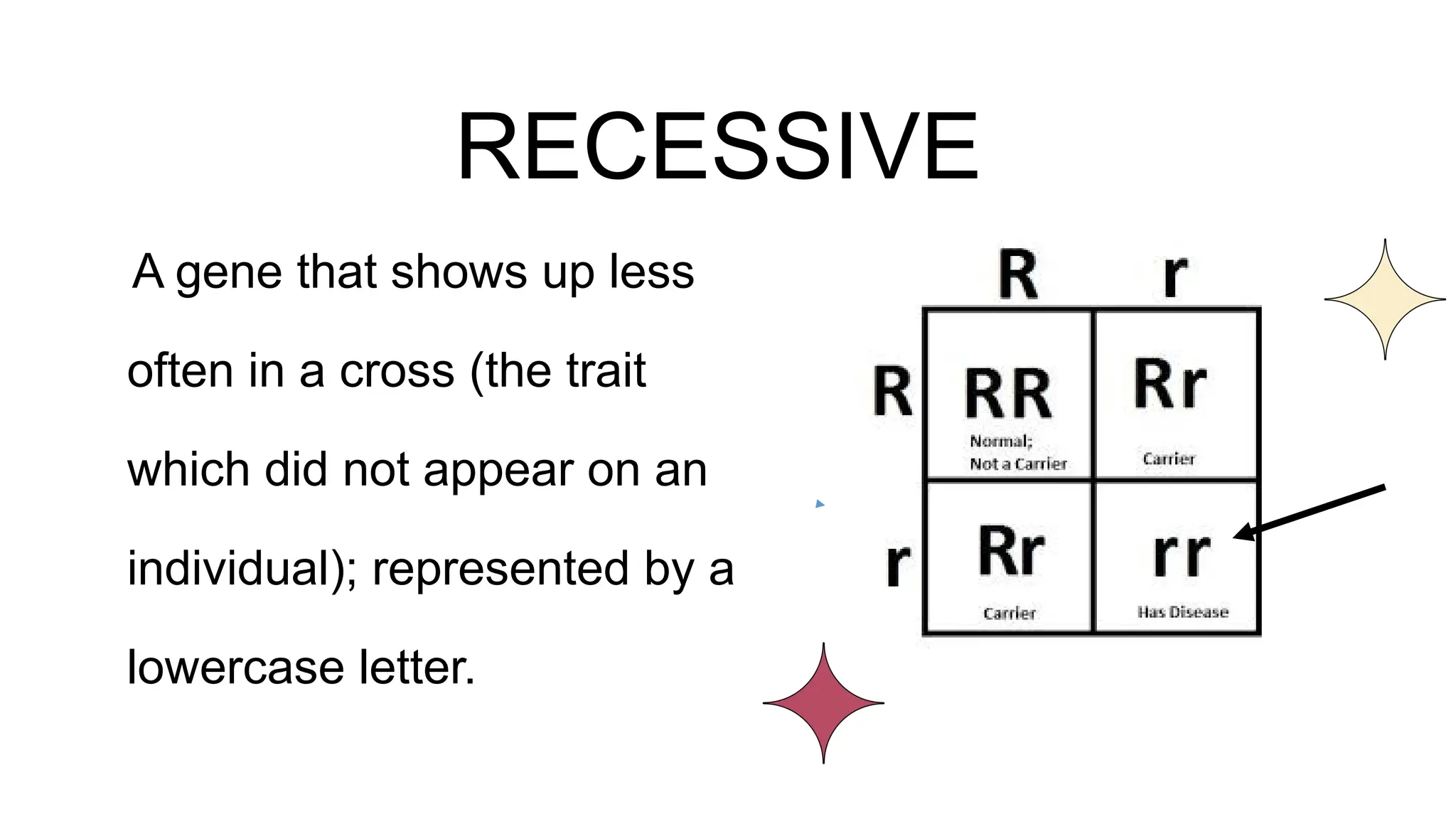 RECESSIVE
A gene that shows up less
often in a cross (the trait
which did not appear on an
individual); represented by a
lowercase letter.
 