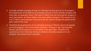 Heridity and evolution | PPTX