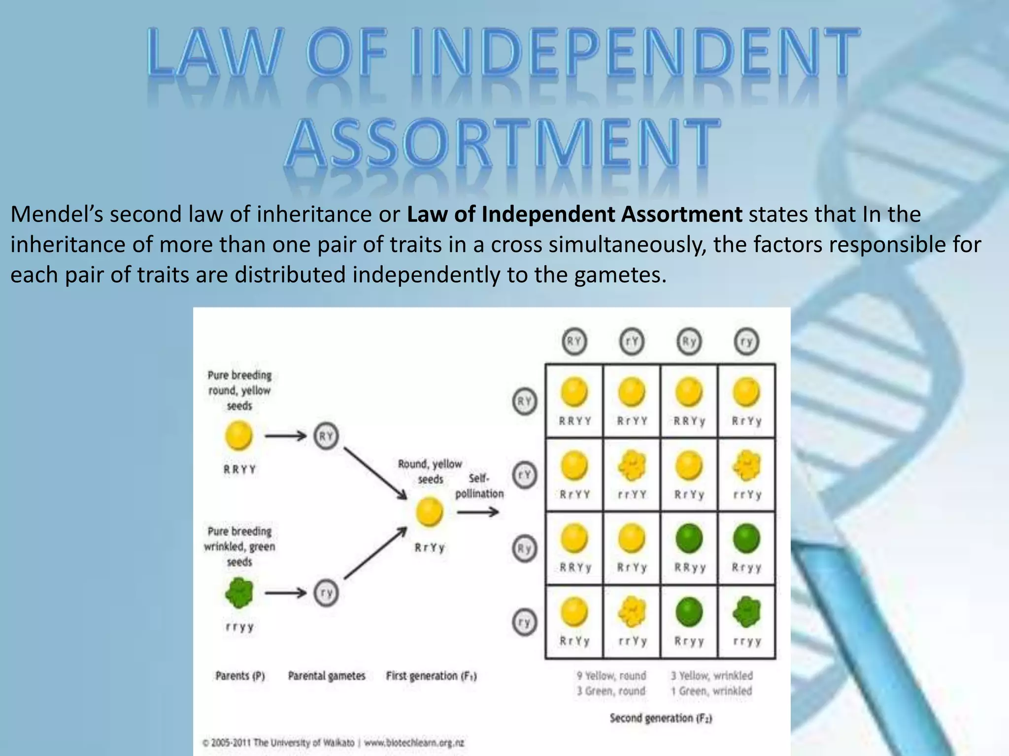 Heridity and Evolution - Biology Class 10 CBSE | PPSX