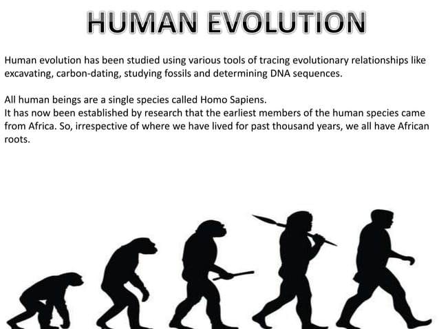Heridity and Evolution - Biology Class 10 CBSE | PPT