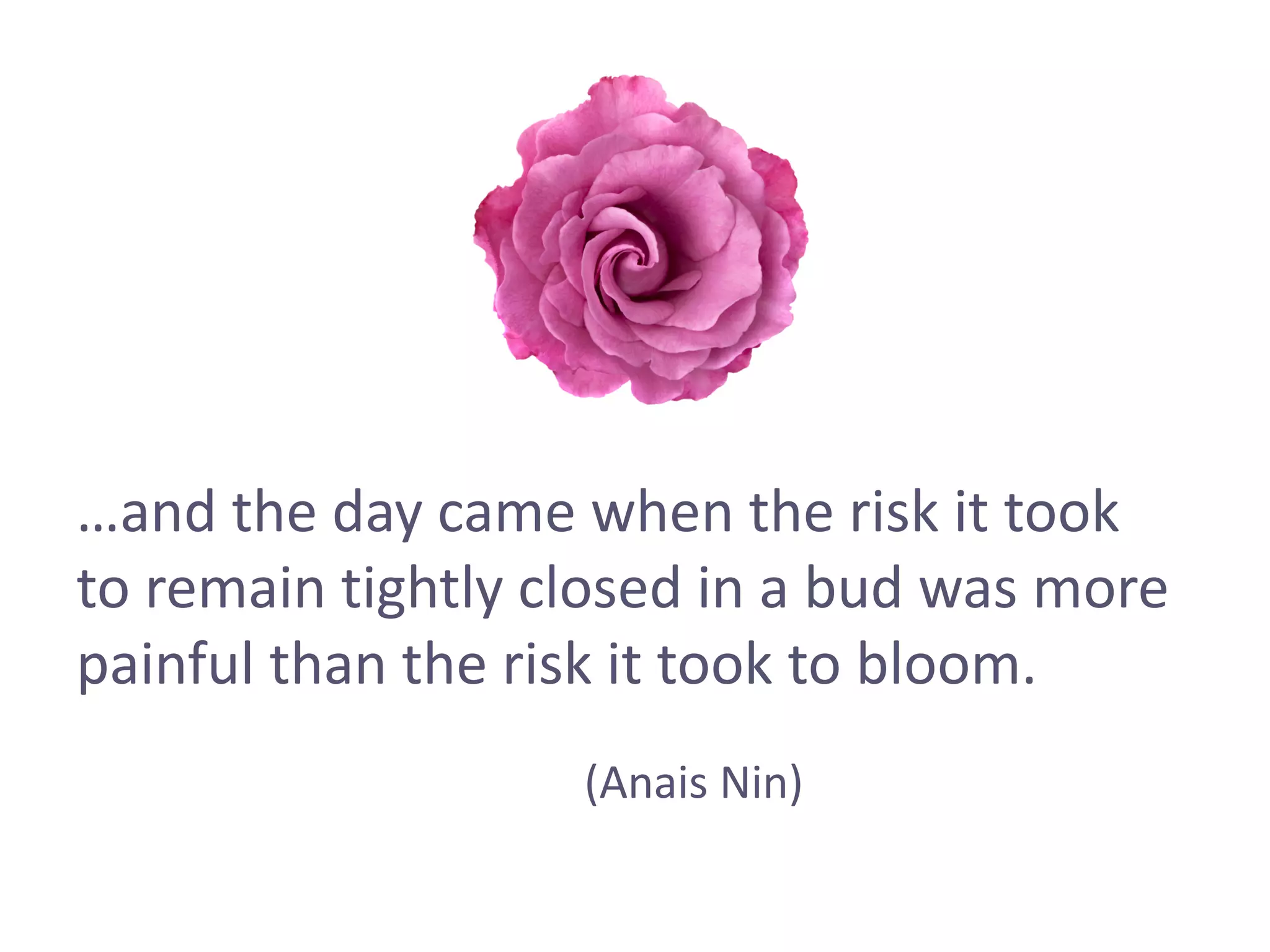 …and the day came when the risk it took
to remain tightly closed in a bud was more
painful than the risk it took to bloom.
(Anais Nin)
 
