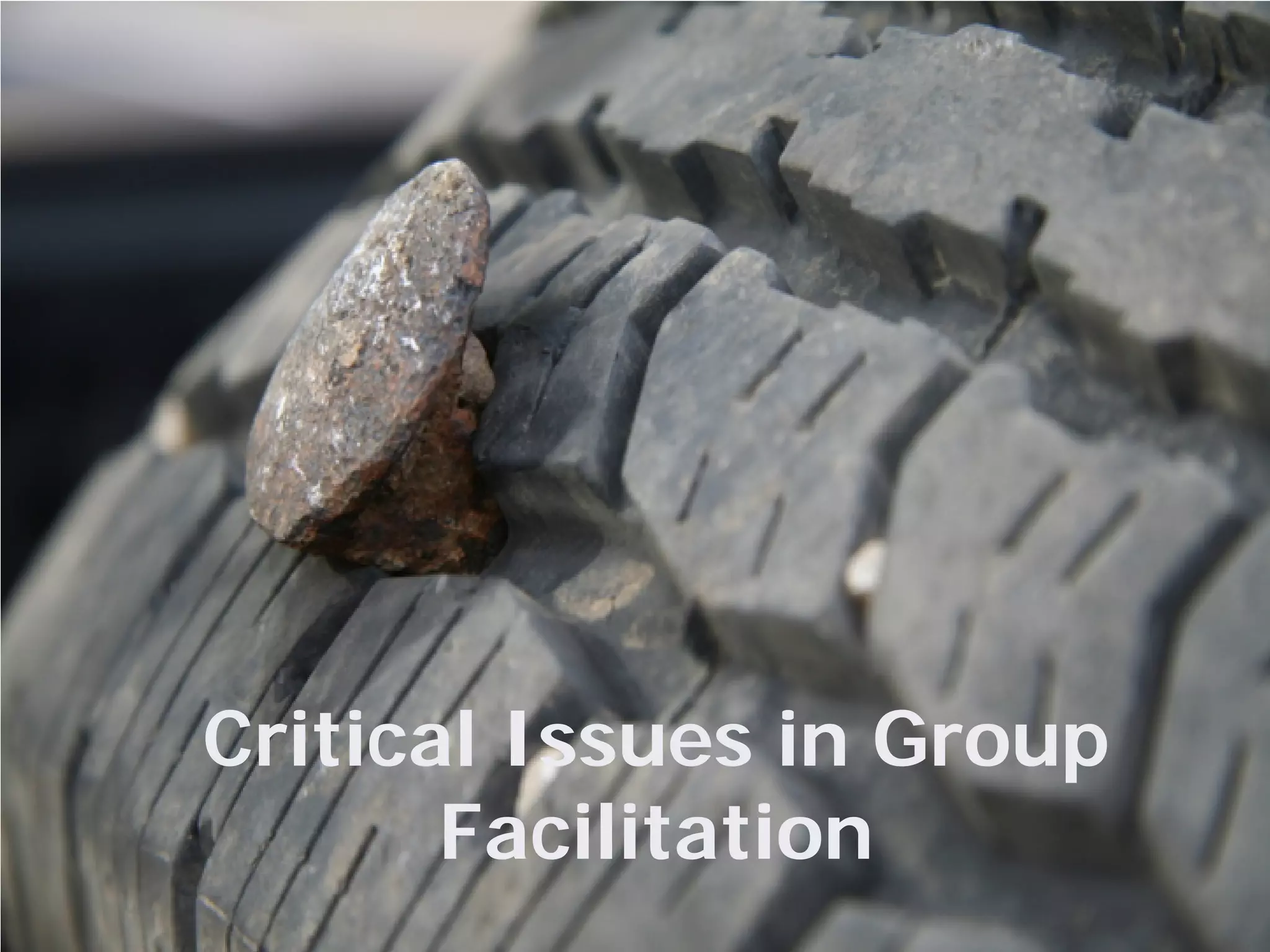 Critical Issues in Group
Facilitation
 