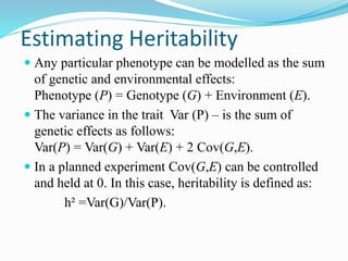 Estimating Heritability
 Any particular phenotype can be modelled as the sum
of genetic and environmental effects:
Phenotype (P) = Genotype (G) + Environment (E).
 The variance in the trait Var (P) – is the sum of
genetic effects as follows:
Var(P) = Var(G) + Var(E) + 2 Cov(G,E).
 In a planned experiment Cov(G,E) can be controlled
and held at 0. In this case, heritability is defined as:
h² =Var(G)/Var(P).
 