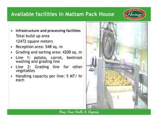 Available facilities in Mattam Pack House

    Infrastructure and processing facilities
    Total build up area
    12472 square meters
•   Reception area: 548 sq. m
•   Grading and sorting area: 4200 sq. m
•   Line 1: potato, carrot, beetroot
    washing and grading line
•   Line 2: Grading line for other
    vegetables
•   Handling capacity per line: 5 MT/ hr
    each
 