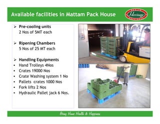 Available facilities in Mattam Pack House

    Pre-cooling units
    2 Nos of 5MT each

    Ripening Chambers
    5 Nos of 25 MT each

    Handling Equipments
•   Hand Trolleys 4Nos
•   Crates 19000 Nos
•   Crate Washing system 1 No
•   Pallets crates 1000 Nos
•   Fork lifts 2 Nos
•   Hydraulic Pallet jack 6 Nos.
 
