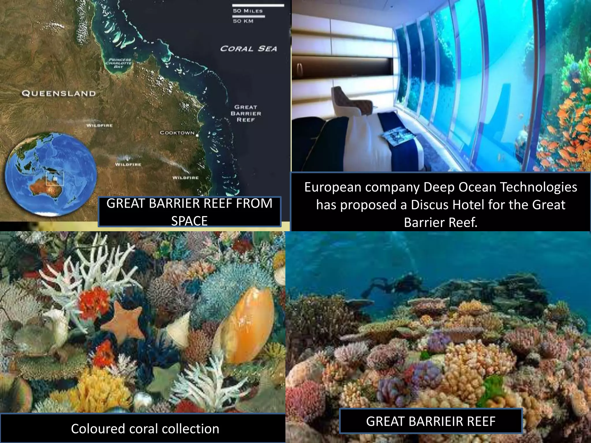 GREAT BARRIER REEF FROM
SPACE
European company Deep Ocean Technologies
has proposed a Discus Hotel for the Great
Barrier Reef.
Coloured coral collection
GREAT BARRIEIR REEF
 