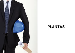 Foto Ilustrativa
                   PLANTAS
 