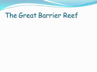 TheGreatBarrier Reef