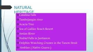 NATURAL
HERITAGE
Catalina Falls
Tambojangin river
Acacia Tree
Sea of Galilee Beach Resort
Amlan River
Naibid Falls in Jantianon
Dolphin Watching Cruises in the Tanon Strait
 Amblan ( Native Guava )
 