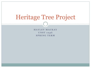 Heritage Tree Project
      HAYLEY MACKAY
        UNST 124G
       SPRING TERM
 