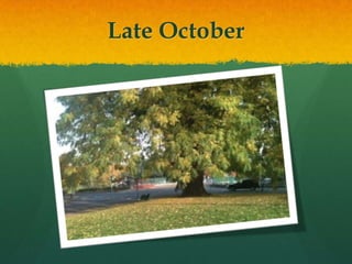 Late October
 