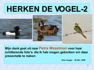 Mijn dank gaat uit naar  Petra Wezelman  voor haar  schitterende foto’s  die ik heb mogen gebruiken om deze presentatie te maken Kees Vanger  26 febr. 2008 HERKEN DE VOGEL-2 
