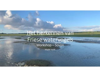 Het herkennen van
Friese watervogels
Workshop – Sovon
Mayke Vonk
 