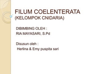 FILUM COELENTERATA
(KELOMPOK CNIDARIA)

DIBIMBING OLEH :
RIA MAYASARI, S.Pd

Disusun oleh :
Herlina & Emy puspita sari
 