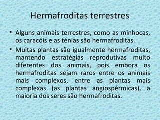 Hermafroditas terrestres Alguns animais terrestres, como as minhocas, os caracóis e as ténias são hermafroditas. Muitas plantas são igualmente hermafroditas, mantendo estratégias reprodutivas muito diferentes dos animais, pois embora os hermafroditas sejam raros entre os animais mais complexos, entre as plantas mais complexas (as plantas angiospérmicas), a maioria dos seres são hermafroditas. 