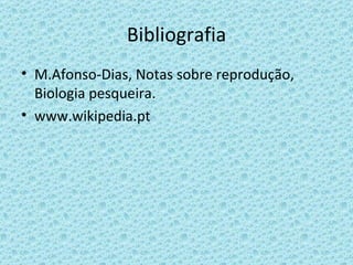 Bibliografia M.Afonso-Dias, Notas sobre reprodução, Biologia pesqueira. www.wikipedia.pt 