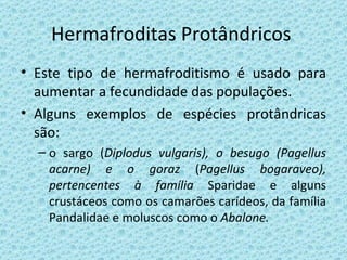 Hermafroditas Protândricos  Este tipo de hermafroditismo é usado para aumentar a fecundidade das populações. Alguns exemplos de espécies protândricas são:  o sargo ( Diplodus vulgaris), o besugo (Pagellus acarne) e o goraz  ( Pagellus bogaraveo), pertencentes à família  Sparidae e alguns crustáceos como os camarões carídeos, da família Pandalidae e moluscos como o  Abalone. 