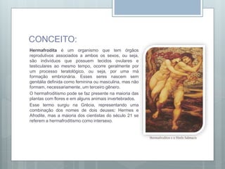 CONCEITO:
Hermafrodita é um organismo que tem órgãos
reprodutivos associados a ambos os sexos, ou seja,
são indivíduos que possuem tecidos ovulares e
testiculares ao mesmo tempo, ocorre geralmente por
um processo teratológico, ou seja, por uma má
formação embrionária. Esses seres nascem sem
genitália definida como feminina ou masculina, mas não
formam, necessariamente, um terceiro gênero.
O hermafroditismo pode se faz presente na maioria das
plantas com flores e em alguns animais invertebrados.
Esse termo surgiu na Grécia, representando uma
combinação dos nomes de dois deuses: Hermes e
Afrodite, mas a maioria dos cientistas do século 21 se
referem a hermafroditismo como intersexo.
Hermafroditos e a Ninfa Salmacis
 