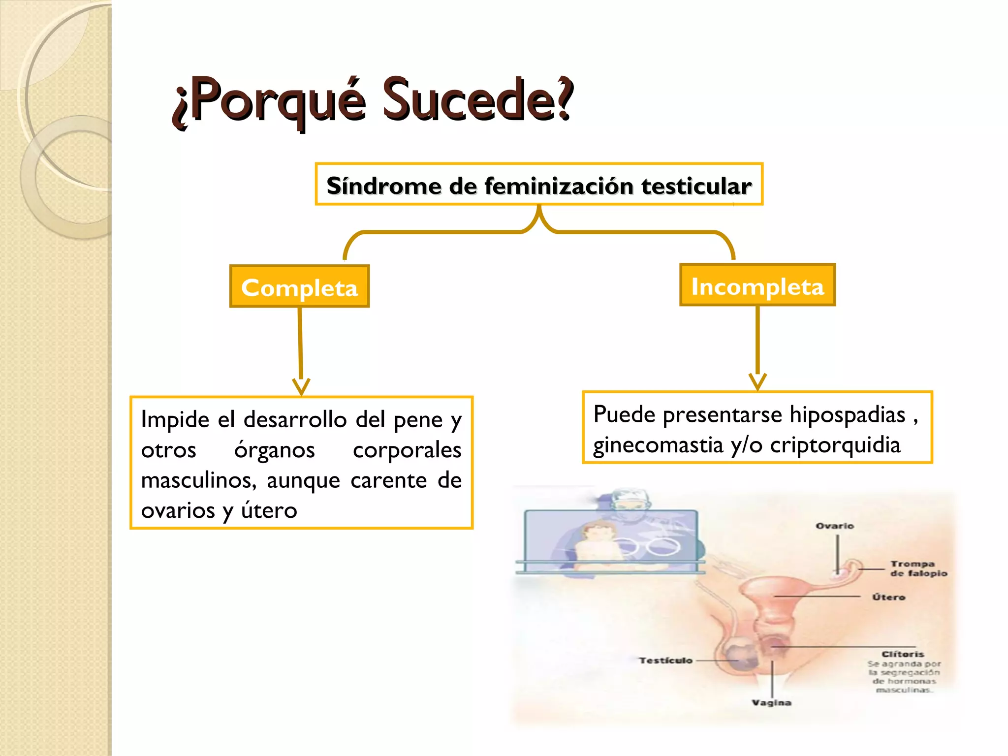 Hermafroditismo PPT Hermafroditismo PPT