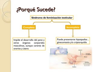 ¿Porqué Sucede?¿Porqué Sucede?
Síndrome de feminización testicularSíndrome de feminización testicular
Impide el desarrollo del pene y
otros órganos corporales
masculinos, aunque carente de
ovarios y útero
Puede presentarse hipospadias ,
ginecomastia y/o criptorquidia
Completa Incompleta
 