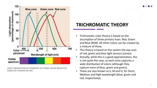 TRICHROMATIC THEORY
• Trichromatic color theory is based on the
assumption of three primary hues: Red, Green
and Blue (RGB). All other colors can be created by
a mixture of these.
• This theory is based on the system the eye uses
of red, green and blue light sensors (cones).
• Actually, while this is a good approximation, this
is not quite the case, as each cone captures a
wide distribution of colors (although they
capture more of blue, green and green).
• These are also known as S, M and H, for Short,
Medium and High wavelength (blue, green and
red, respectively).
LIGHT ABSORPTION BY PIGMENTS OF THREE COLOR RECEPTIVE
CONES OF HUMAN RETINA
6
 