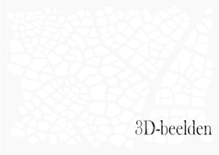 3D-beelden
 