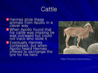 Cattle Hermes stole these animals from Apollo in a clever way When Apollo found that his cattle was missing he was outraged but could not track who stole it Eventually Hermes confessed, but when Apollo heard Hermes offered to exchange the lyre for his herd  http://forums.macrumors.com/showthread.php?t=478492   