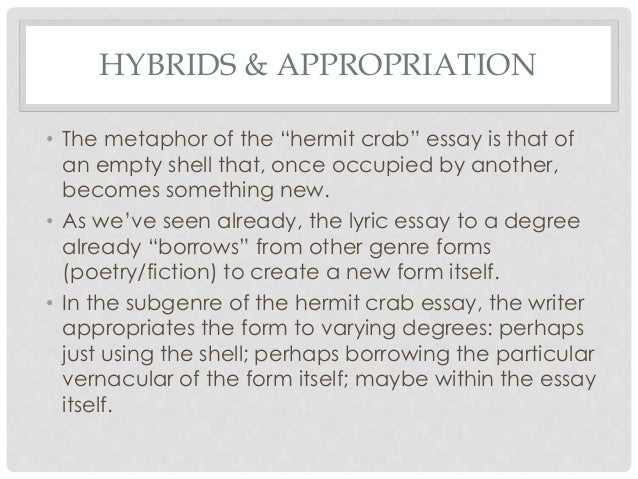 metaphor essay
