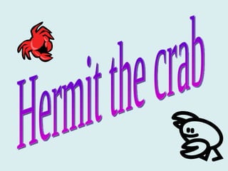 Hermit the crab 