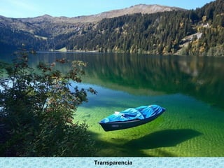 Transparencia
 