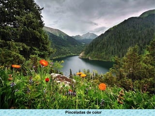 Pinceladas de color
 