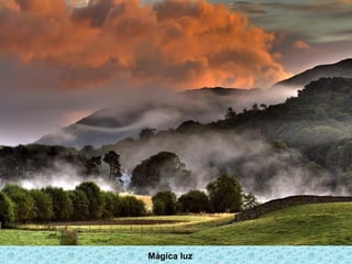 Mágica luz
 