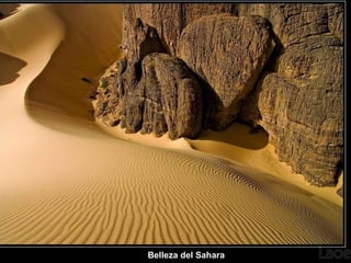 Belleza del Sahara
 