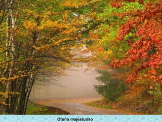 Otoño majestuoso
 