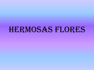 HERMOSAS FLORES
 