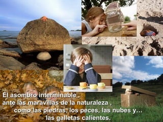 El asombro interminable ,  ante las maravillas de la naturaleza ,  como las piedras, los peces, las nubes y… las galletas calientes. 