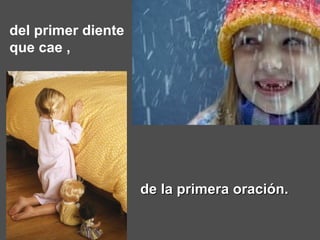 del primer diente que cae ,  de la primera oración. 