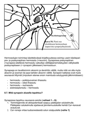 Hermosolun Toiminta PDF hermosolun-toiminta-pdf