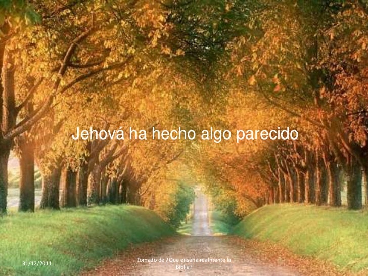 Hermoso regalo