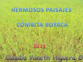 HERMOSOS PAISAJES  CÓMBITA BOYÁCA 2011 Claudia Yaneth Higuera Ortiz 