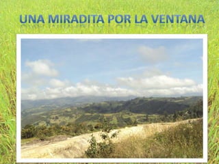 UNA MIRADITA POR LA VENTANA