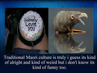 Traditional Maori culture is truly i guess its kind of alright and kind of weird but i don't know its kind of funny too.