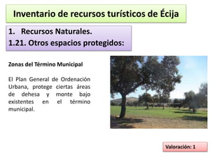 Inventario de recursos turísticos de Écija 
1. Recursos Naturales. 
1.21. Otros espacios protegidos: 
Valoración: 1 
Zonas del Término Municipal 
El Plan General de Ordenación 
Urbana, protege ciertas áreas 
de dehesa y monte bajo 
existentes en el término 
municipal. 
 